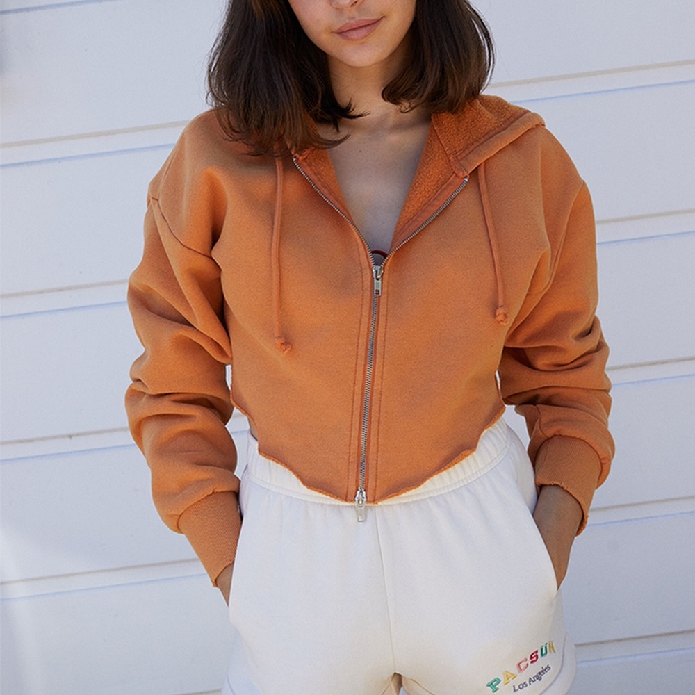 Pacsun cropped hoodie